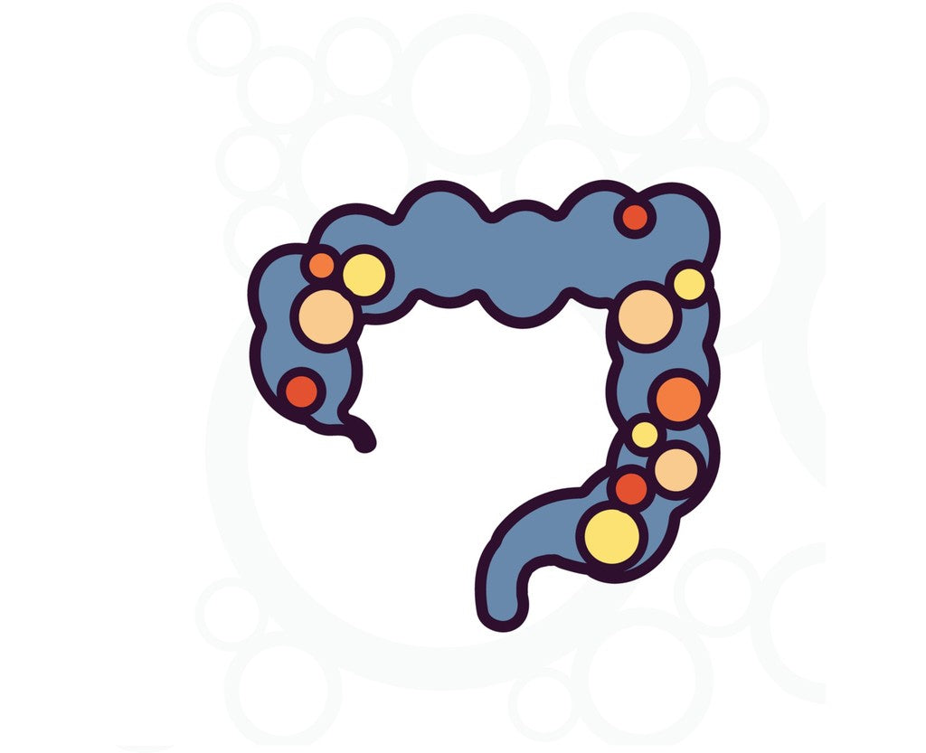 What Is Colon Cleansing?